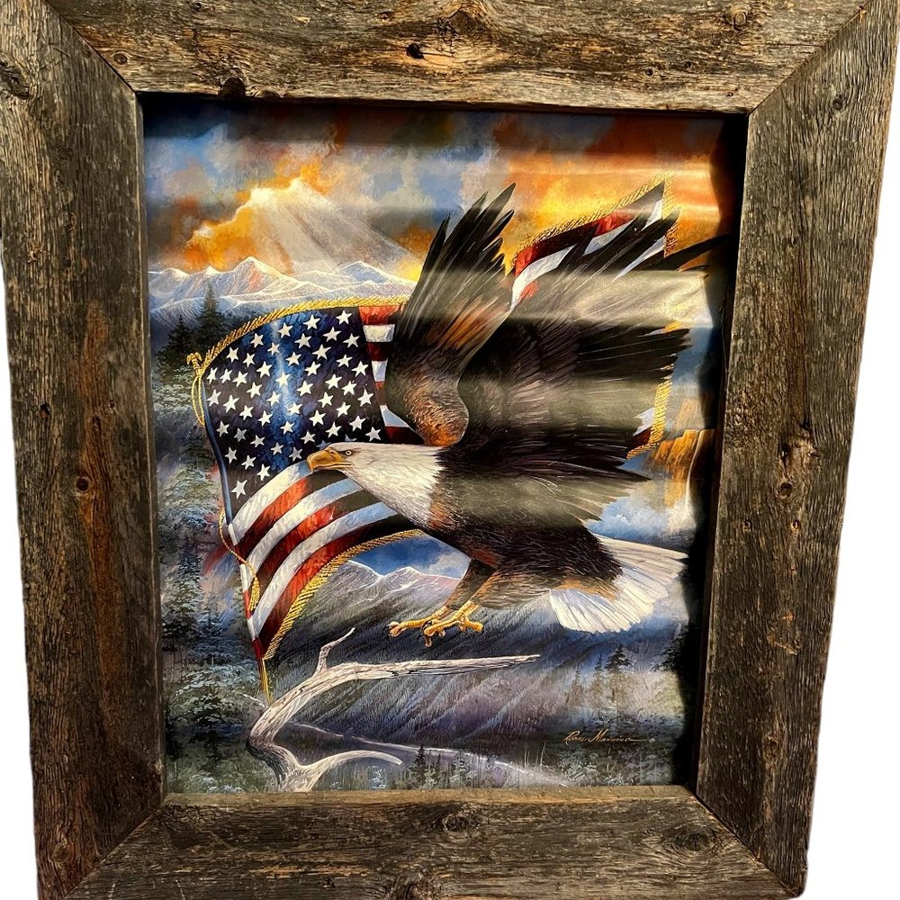 Ruane Manning Flight of Freedom Print on Corrugated Metal - Rustic Wood Frame